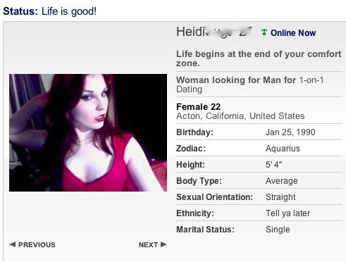 examples of good dating site profiles